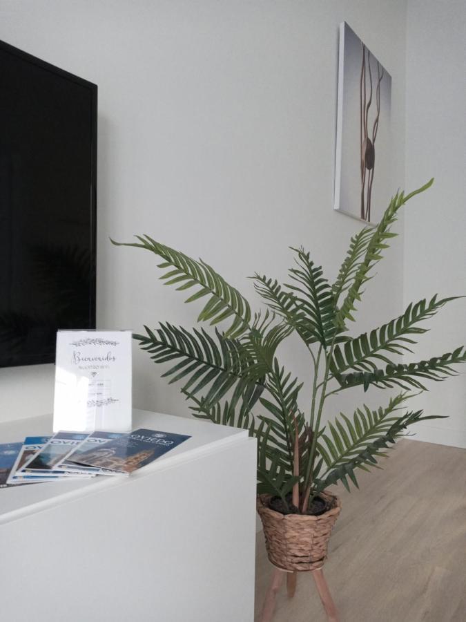 Appartamento La Terraza De La Vega - Ubicacion Inmejorable , Wifi , Terraza Y Parking Gratuito Oviedo Esterno foto